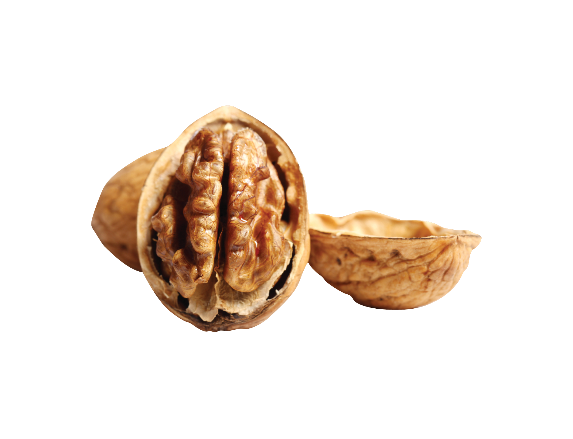 Walnut