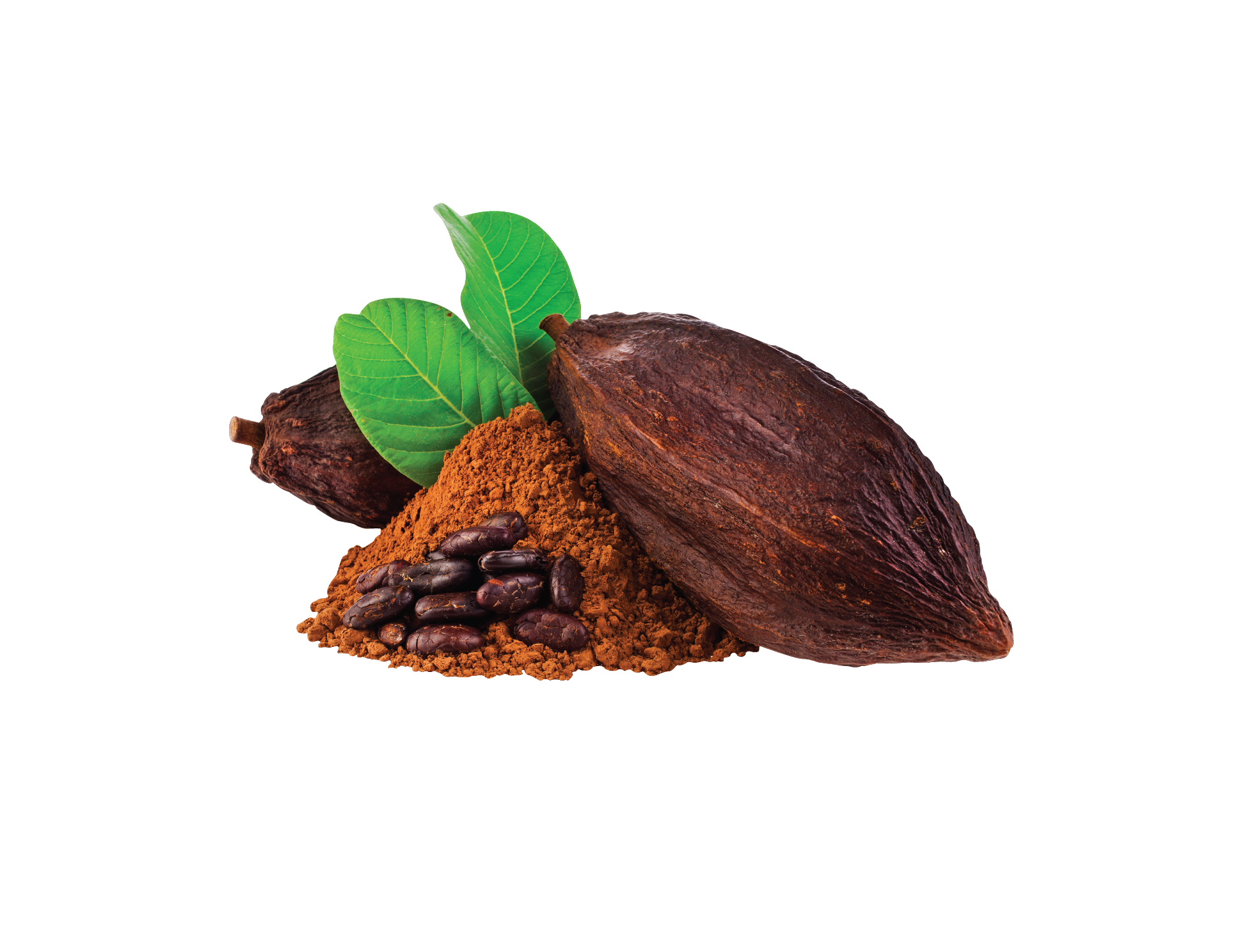 Cocoa