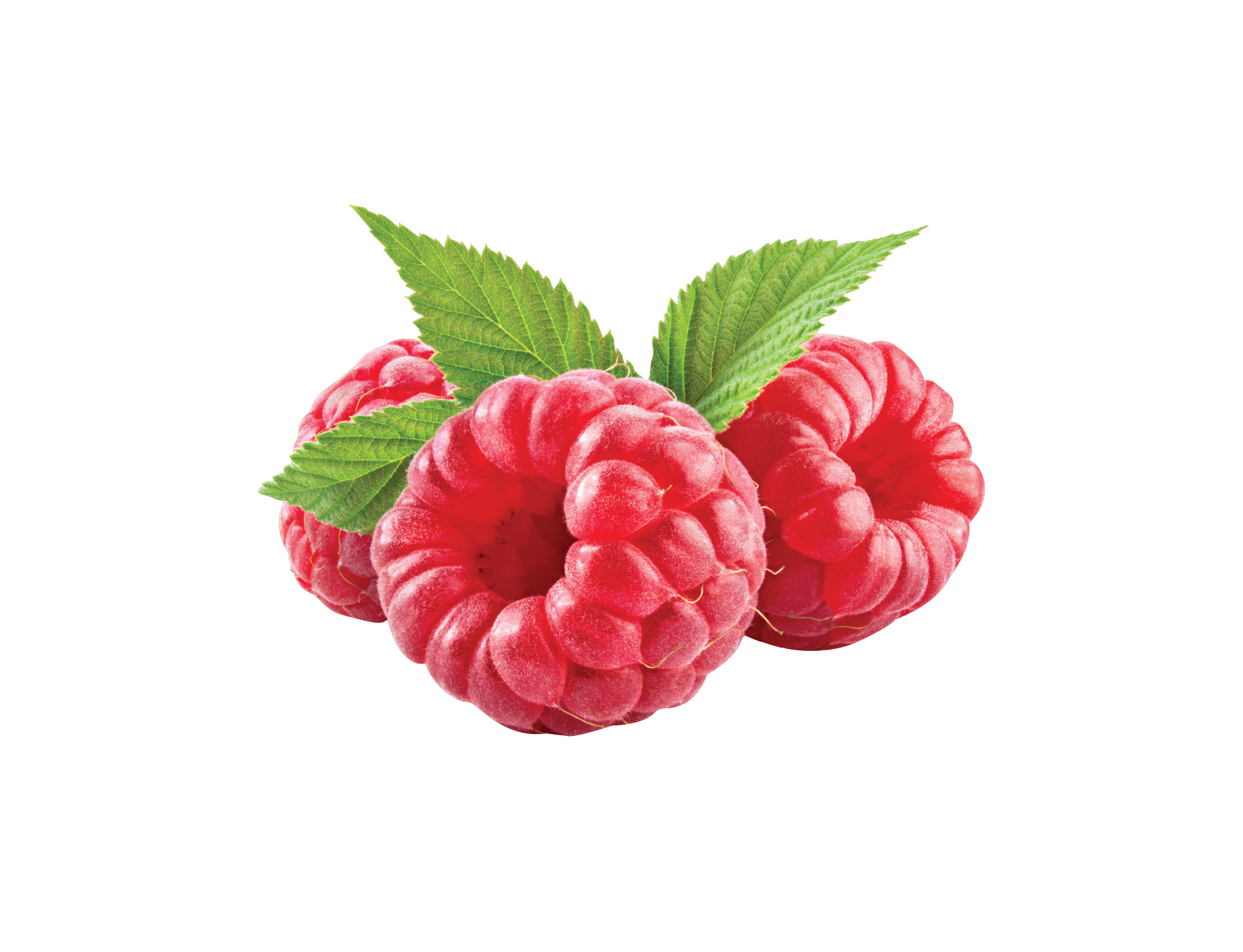 Raspberry